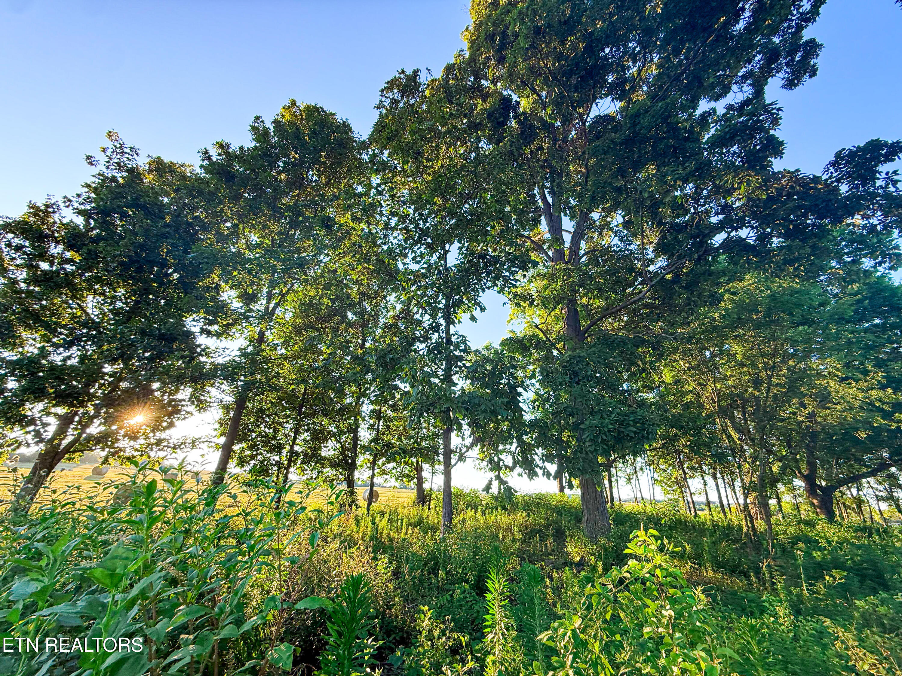 19 Summerset Drive Talbott, TN 37877 - Photo 3 of 10 Photo Jul 03 2025, 8 01 34 PM