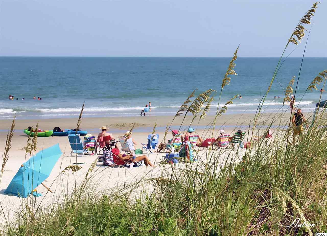 9832 Conifer Lane Murrells Inlet, SC 29576 - Photo 22 of 25 Gallery Image 22