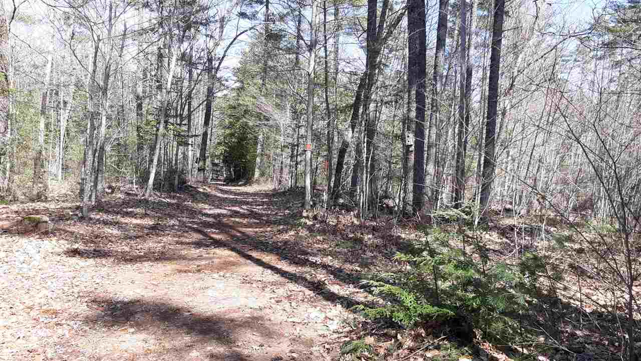 Lot 18 Island Road Fryeburg, ME 04037 - Photo 1 of 3 Gallery Image 1