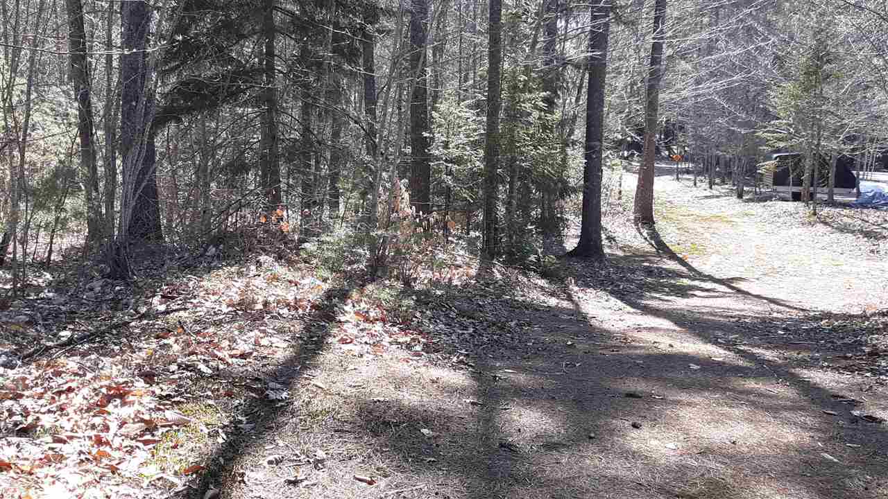 Lot 18 Island Road Fryeburg, ME 04037 - Photo 2 of 3 Gallery Image 2