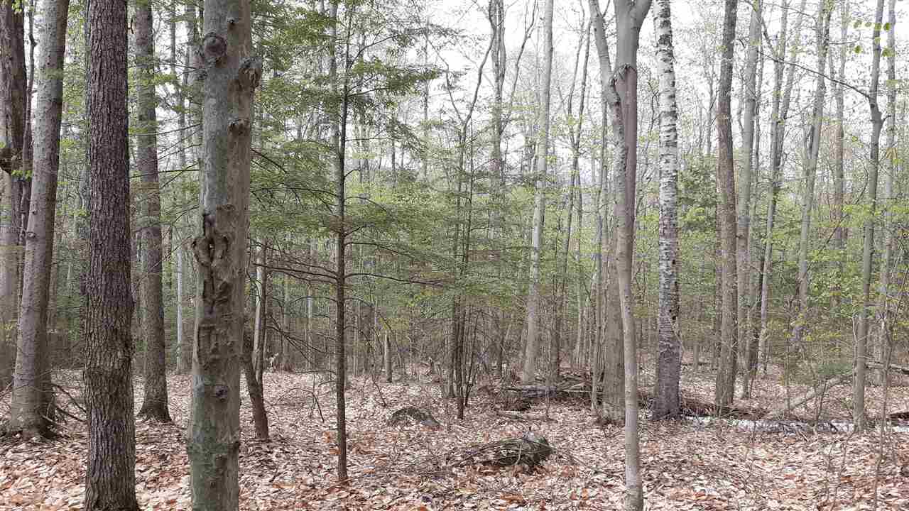 Lot 18 Island Road Fryeburg, ME 04037 - Photo 3 of 3 Gallery Image 3