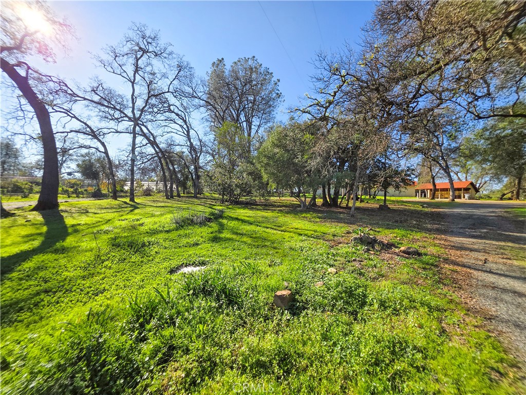 732 Mission Olive Road Oroville, CA 95966 - Photo 35 of 40