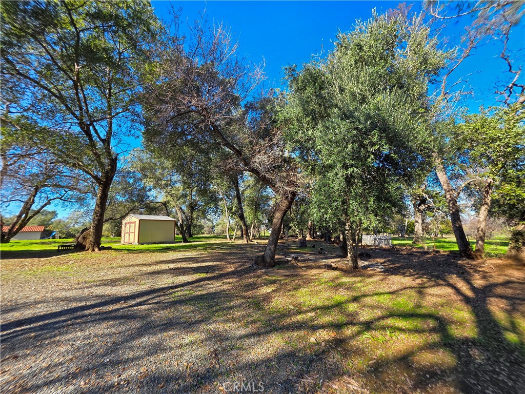 732 Mission Olive Road Oroville, CA 95966 - Photo 4 of 40