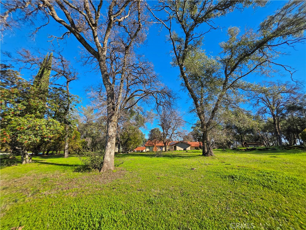 732 Mission Olive Road Oroville, CA 95966 - Photo 8 of 40