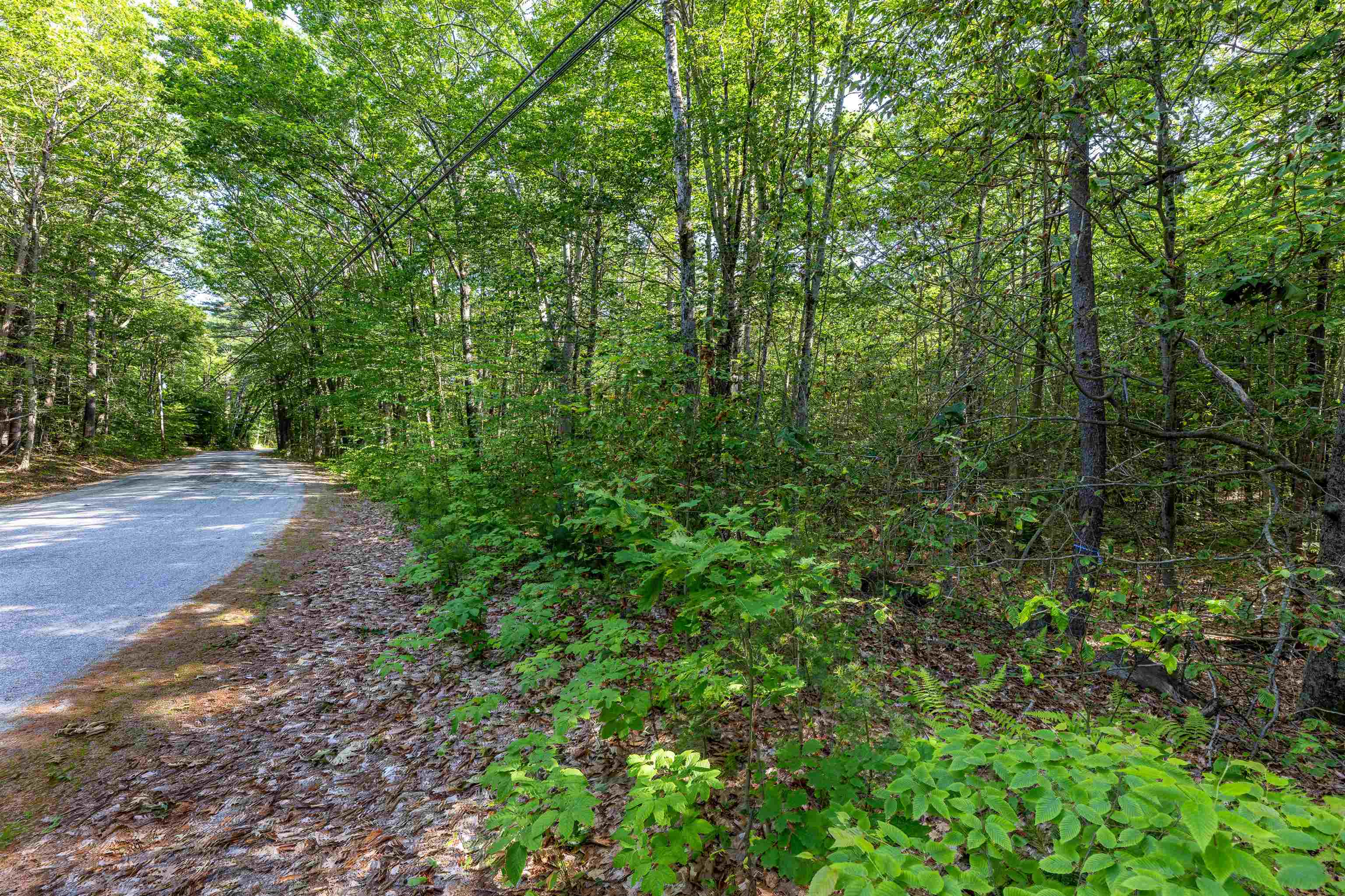 Lot 29.1 South Road Hopkinton, NH 03229 - Photo 1 of 6