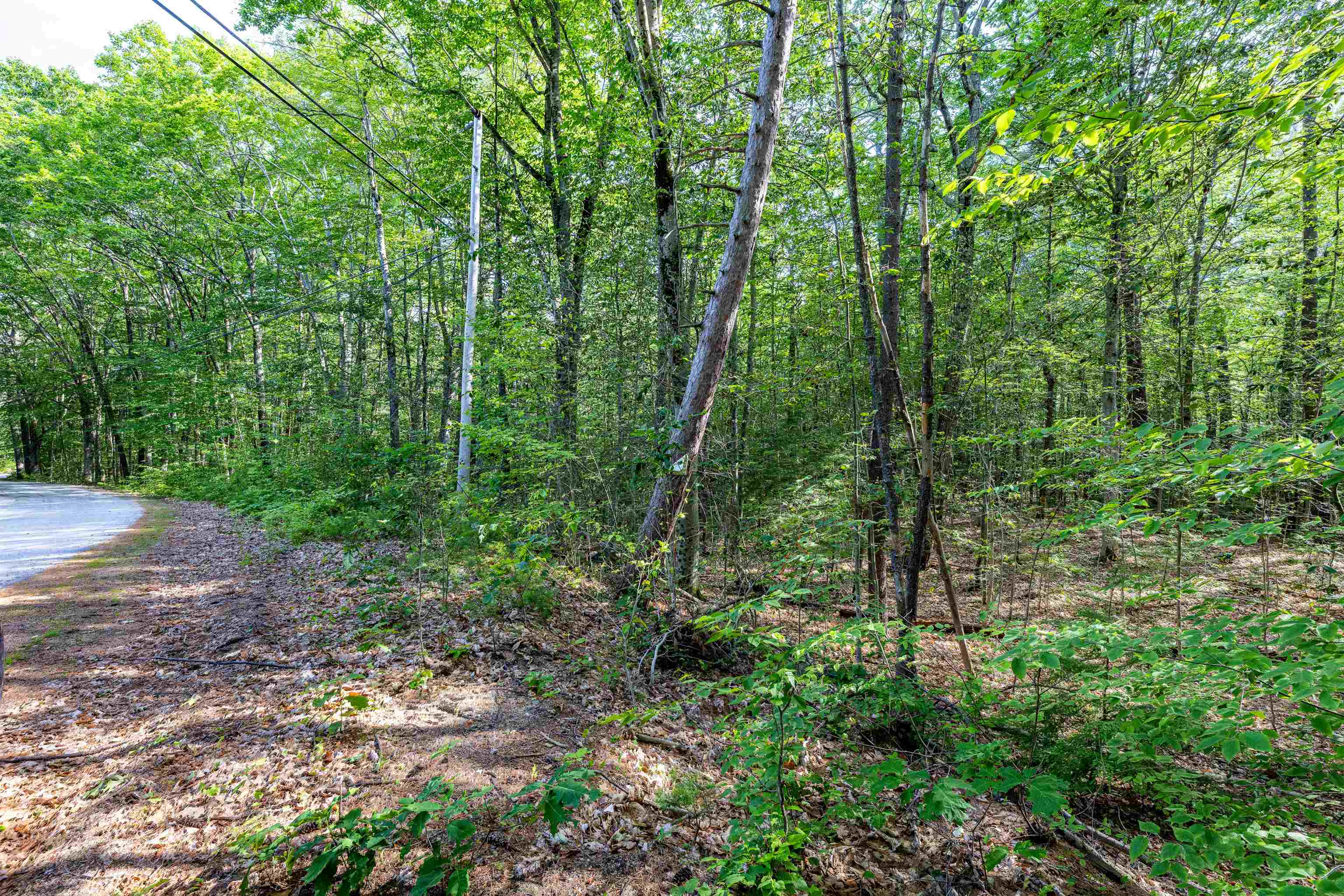 Lot 29.1 South Road Hopkinton, NH 03229 - Photo 5 of 6