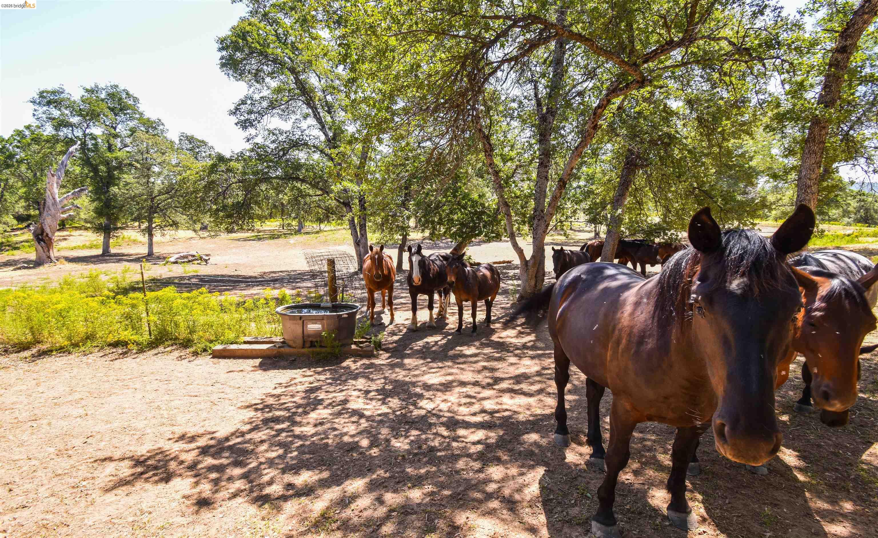 45-ac Powell Ranch Road Sonora, CA 95370 - Photo 17 of 20