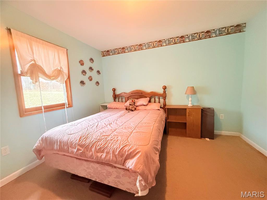 194 Craft Subdivision Road Greenville, MO 63944 - Photo 19 of 48