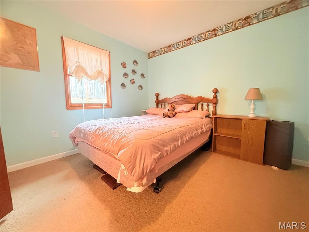 194 Craft Subdivision Road Greenville, MO 63944 - Photo 20 of 48