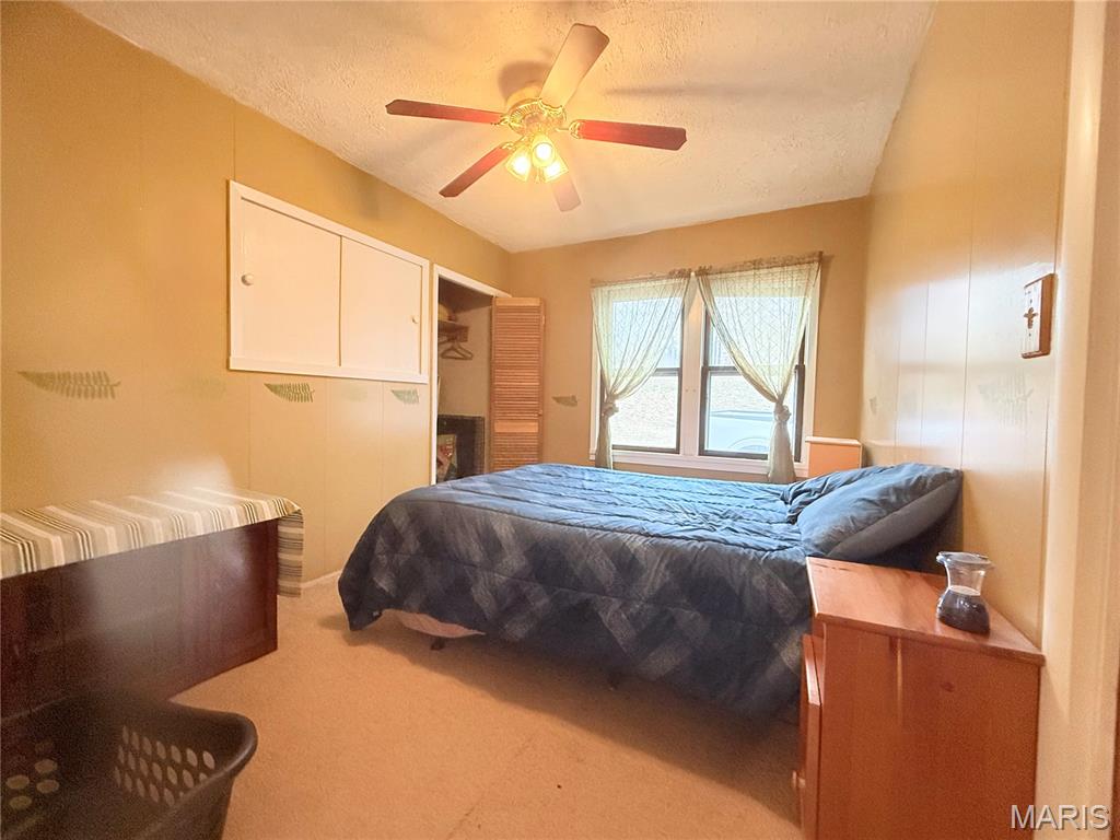 194 Craft Subdivision Road Greenville, MO 63944 - Photo 26 of 48