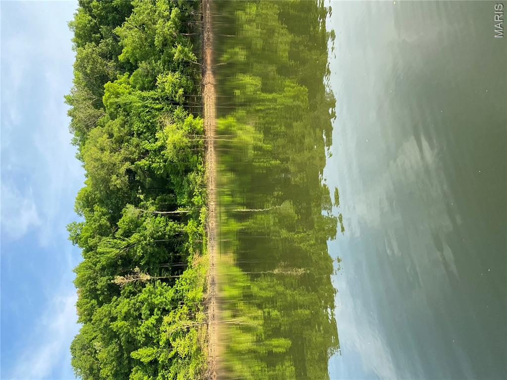 194 Craft Subdivision Road Greenville, MO 63944 - Photo 46 of 48