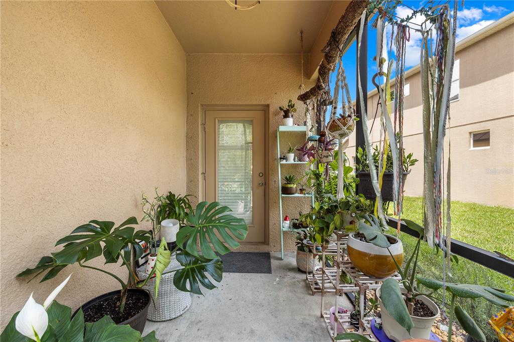11742 Castine Street New Port Richey, FL 34654 - Photo 41 of 58