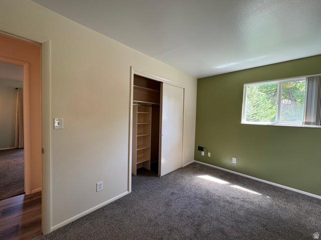 595 Meadowlark Road Orem, UT 84097 - Photo 44 of 87 Carpeted room featuring a built-in closet with shelving, a window with horizontal blinds, and a contrasting accent wall