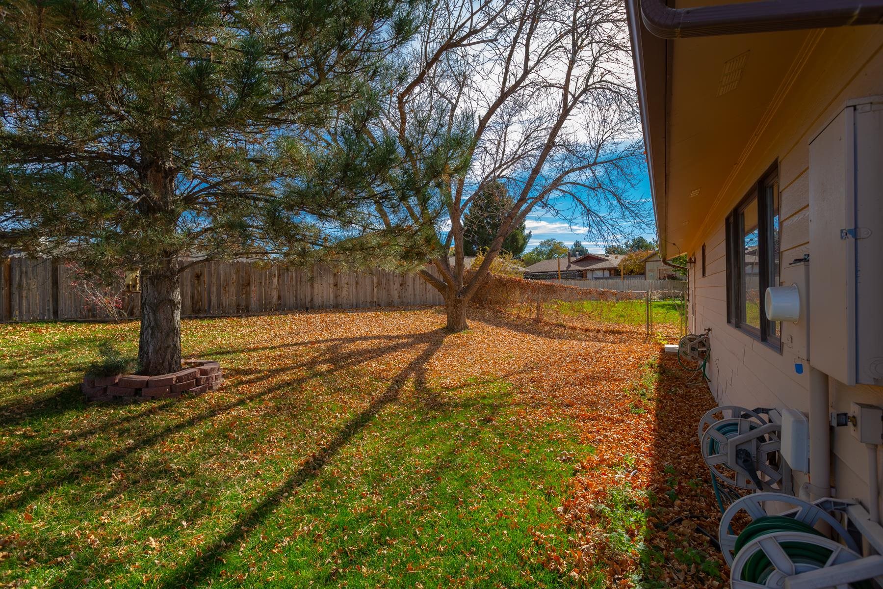 431 Pleasant Ridge Lane, Unit A Grand Junction, CO 81507 - Photo 6 of 29 a view of yard with tree