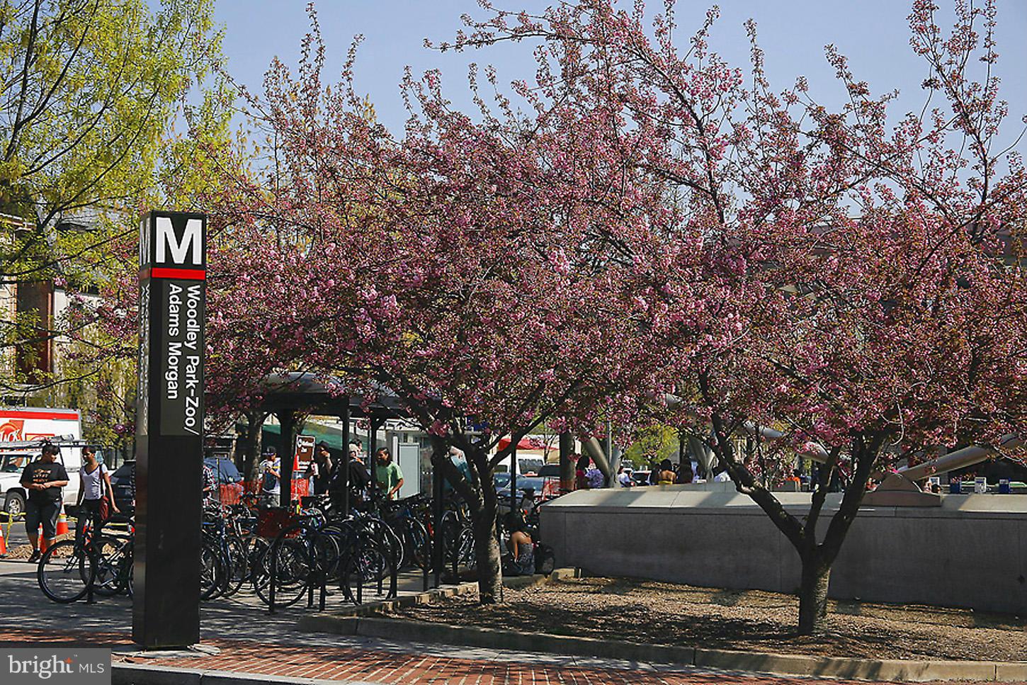 2829 Connecticut Avenue Northwest, Unit 114 Washington, DC 20008 - Photo 16 of 17 Woodley Park METRO - 2 blocks away