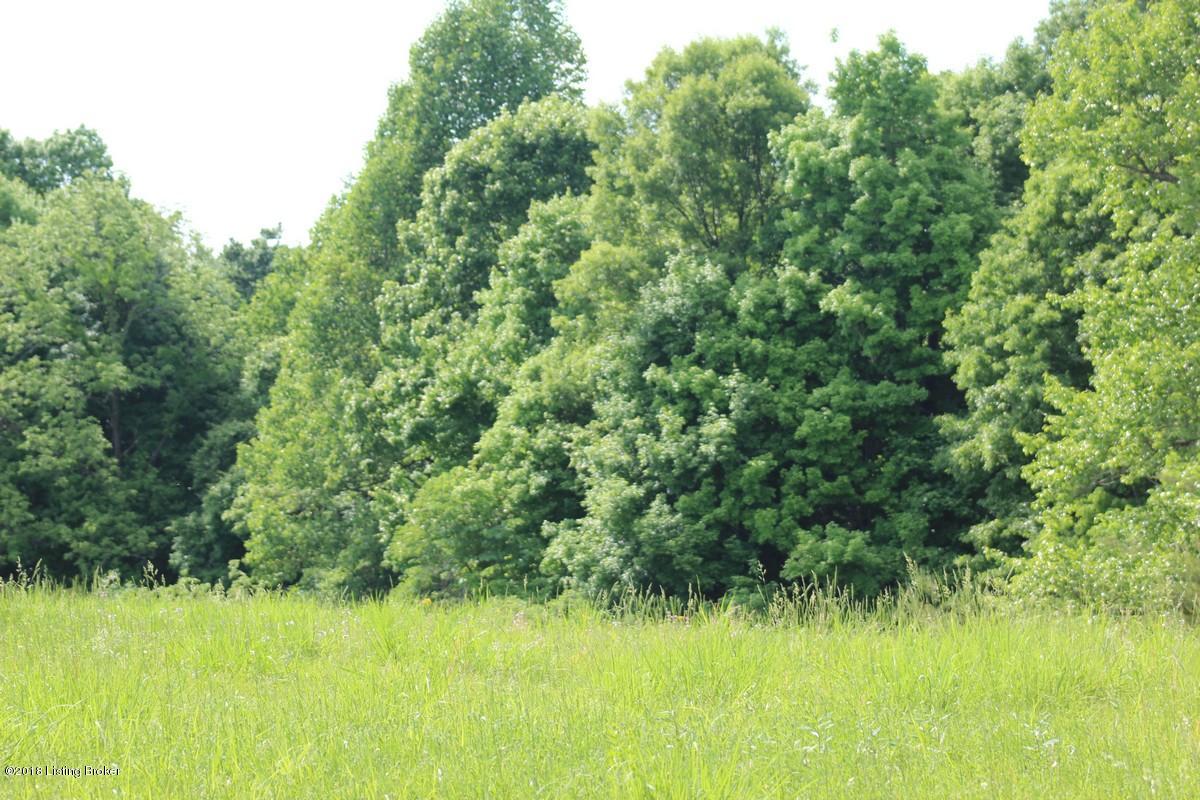 1000 Ready Jackson Road Caneyville, KY 42721 - Photo 19 of 31 Mudd Farms17