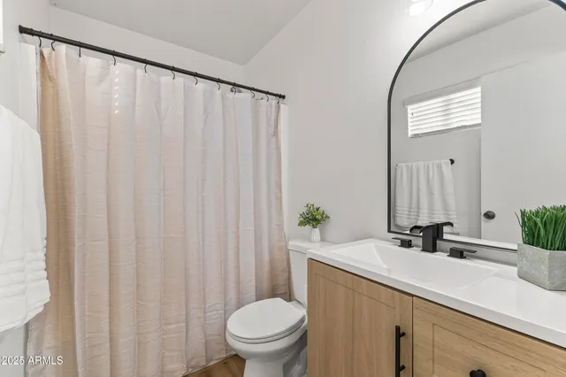 a bathroom with a sink a toilet and a mirror