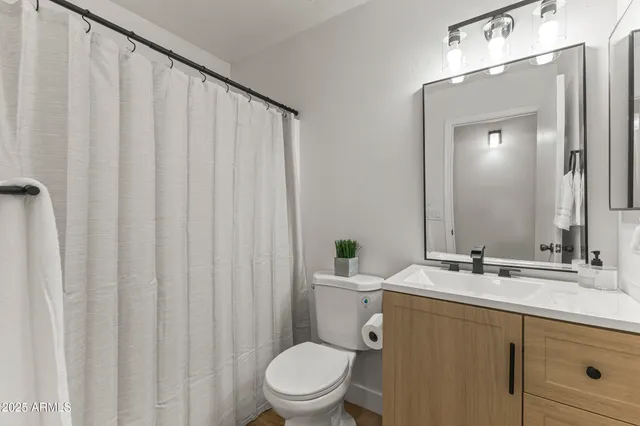 a bathroom with a sink a toilet a mirror and shower curtain