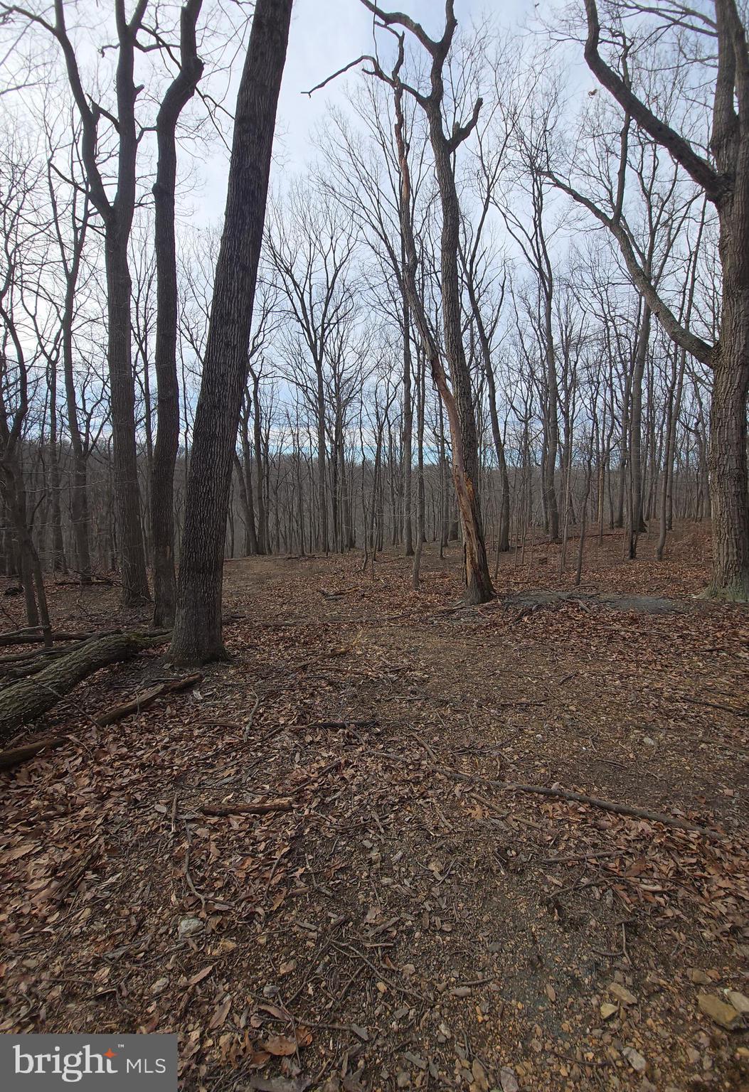 Parcel # 22 Parcel Road New Windsor, MD 21776 - Photo 11 of 26