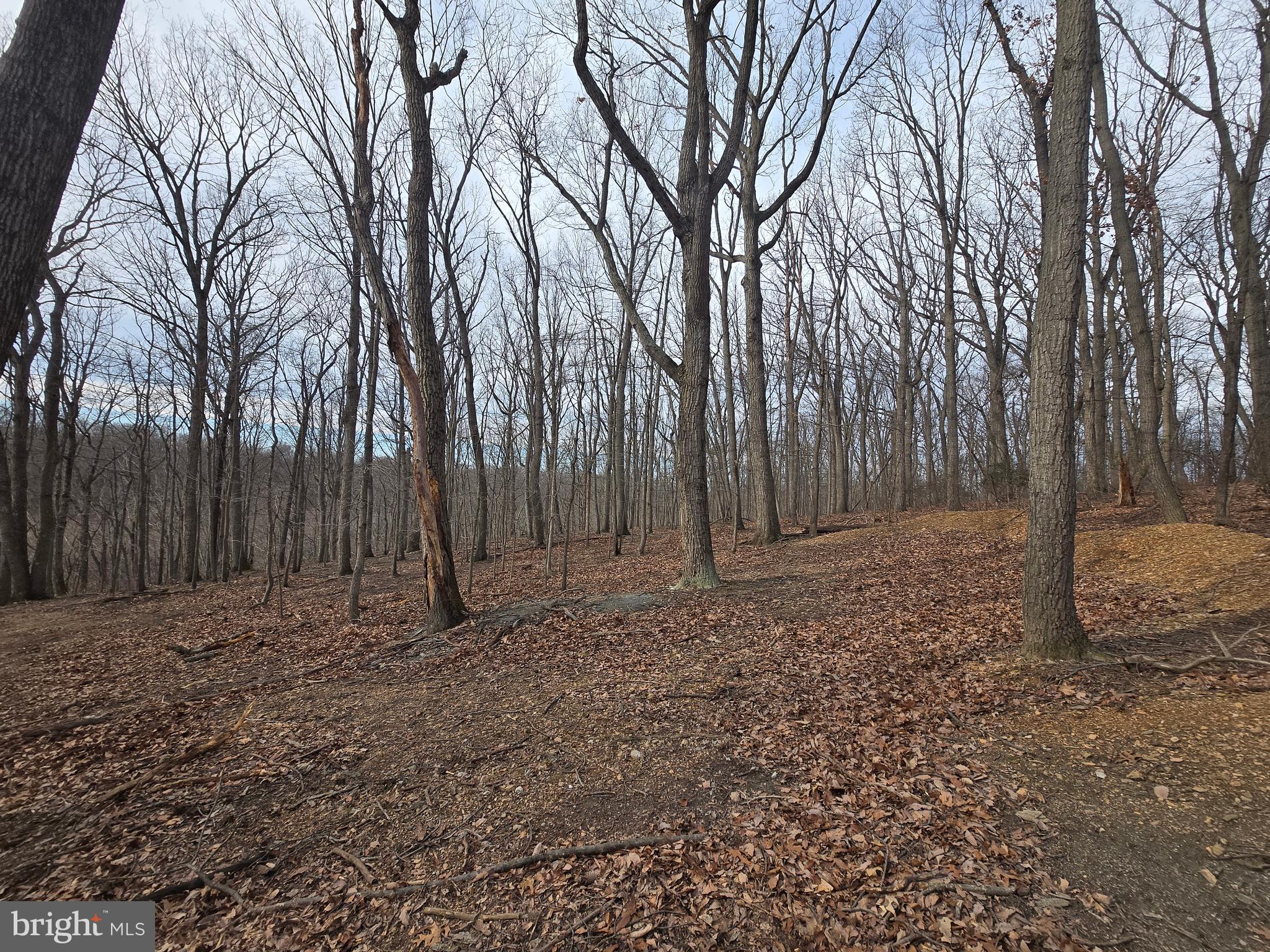 Parcel # 22 Parcel Road New Windsor, MD 21776 - Photo 12 of 26