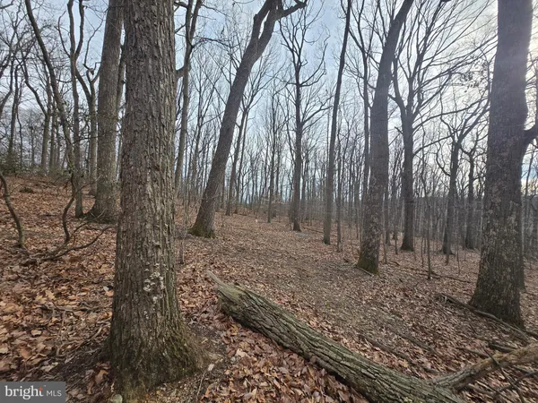 $199,900 | Parcel # 22 Parcel Road, New Windsor, MD 21776