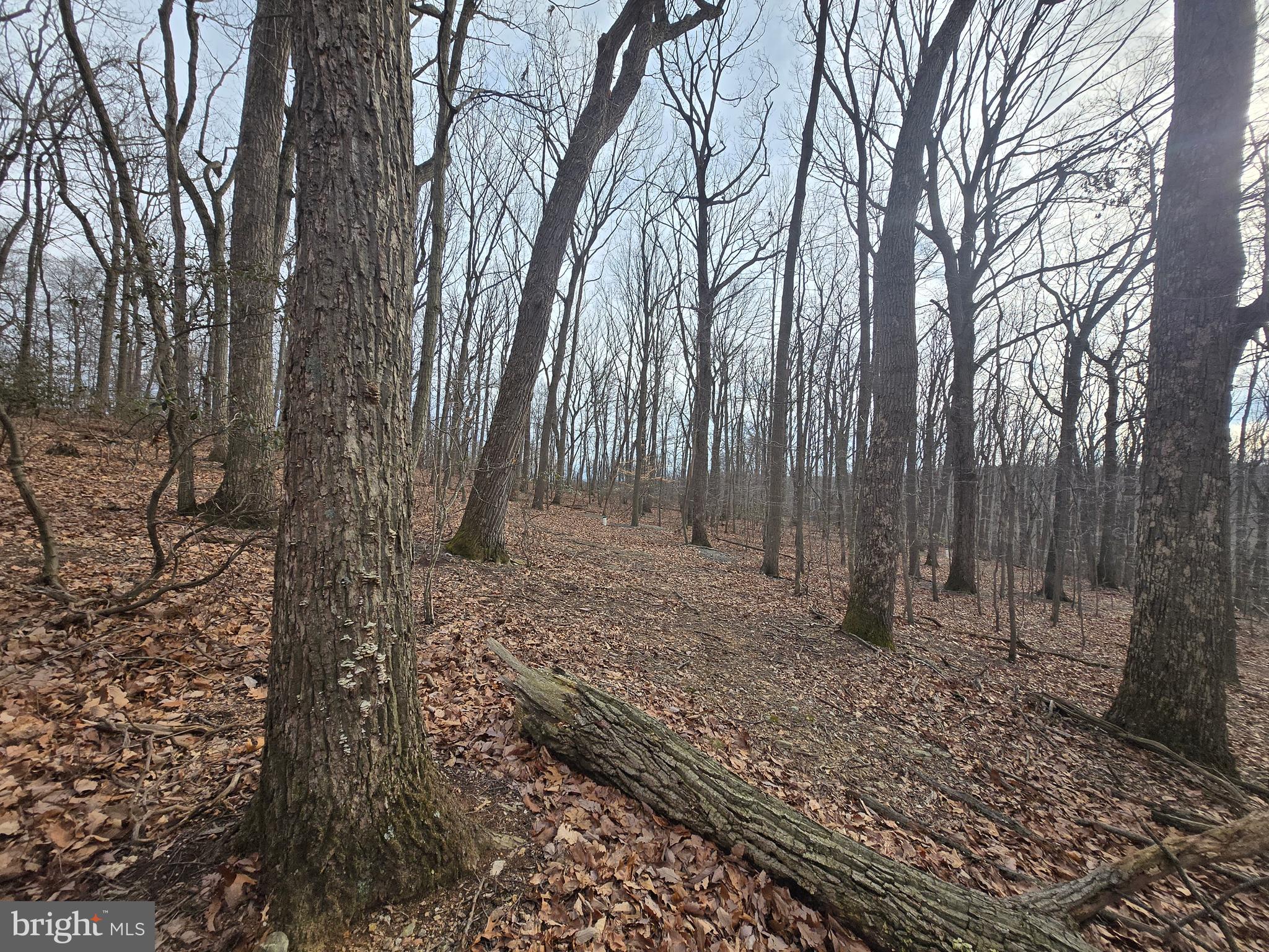 Parcel # 22 Parcel Road New Windsor, MD 21776 - Photo 14 of 26