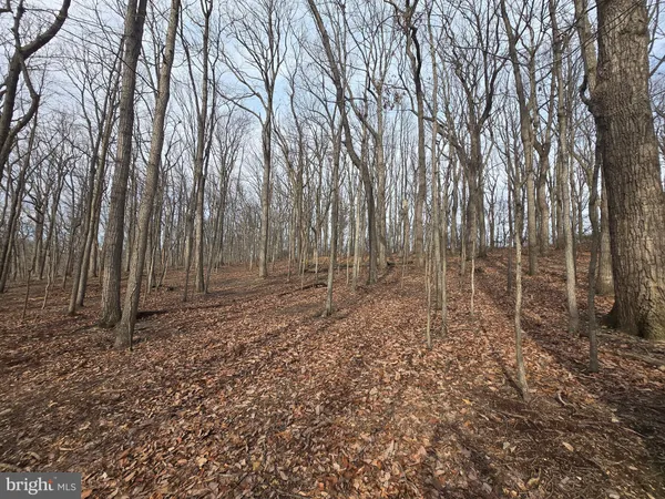 $199,900 | Parcel # 22 Parcel Road, New Windsor, MD 21776