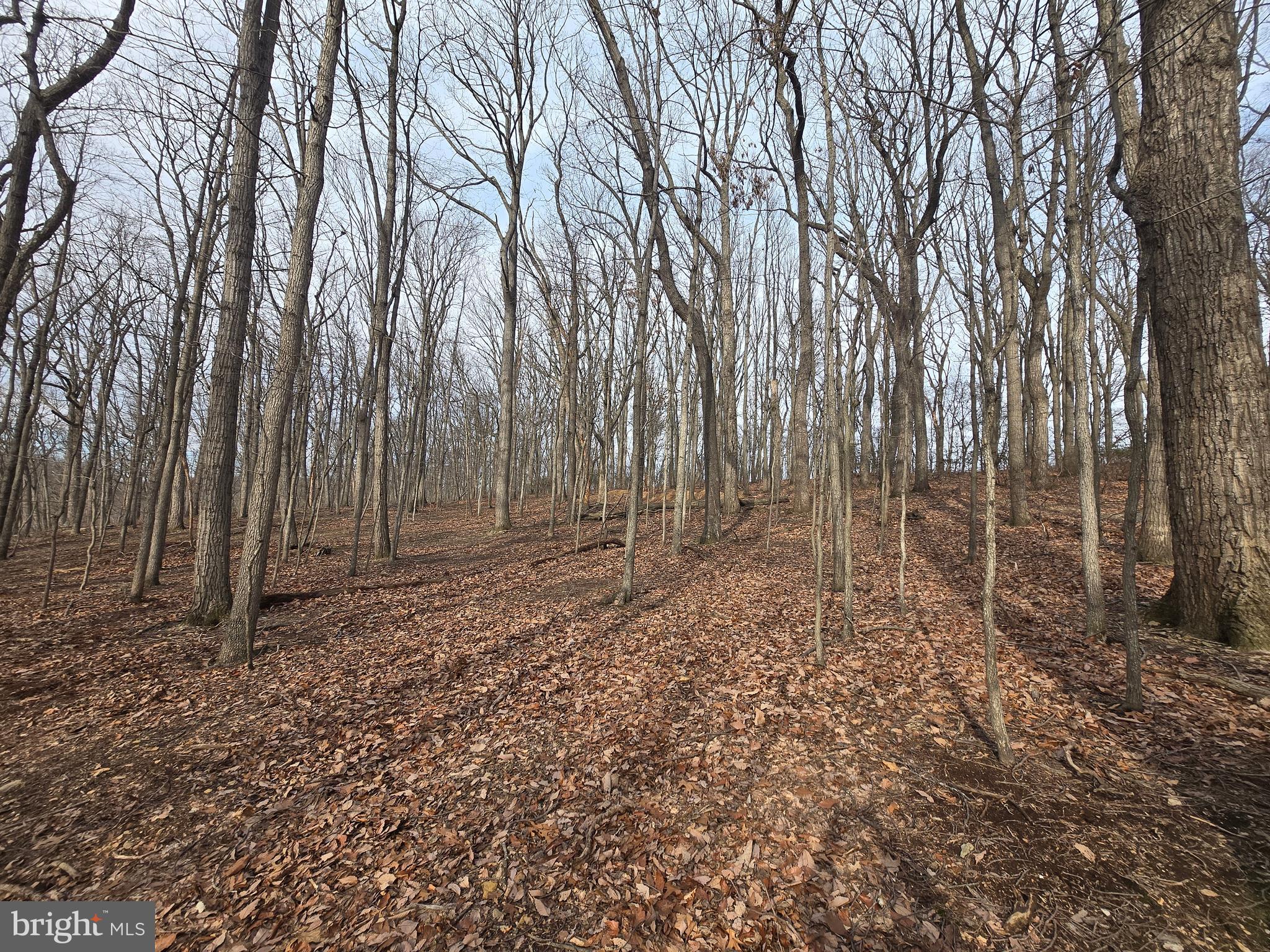 Parcel # 22 Parcel Road New Windsor, MD 21776 - Photo 16 of 26