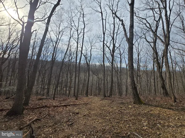 $199,900 | Parcel # 22 Parcel Road, New Windsor, MD 21776