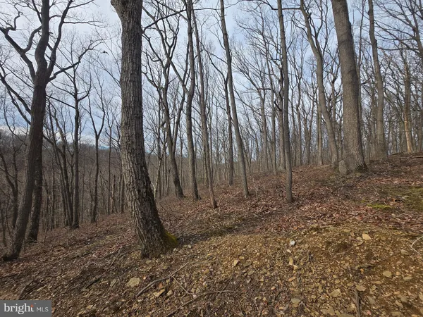 $199,900 | Parcel # 22 Parcel Road, New Windsor, MD 21776