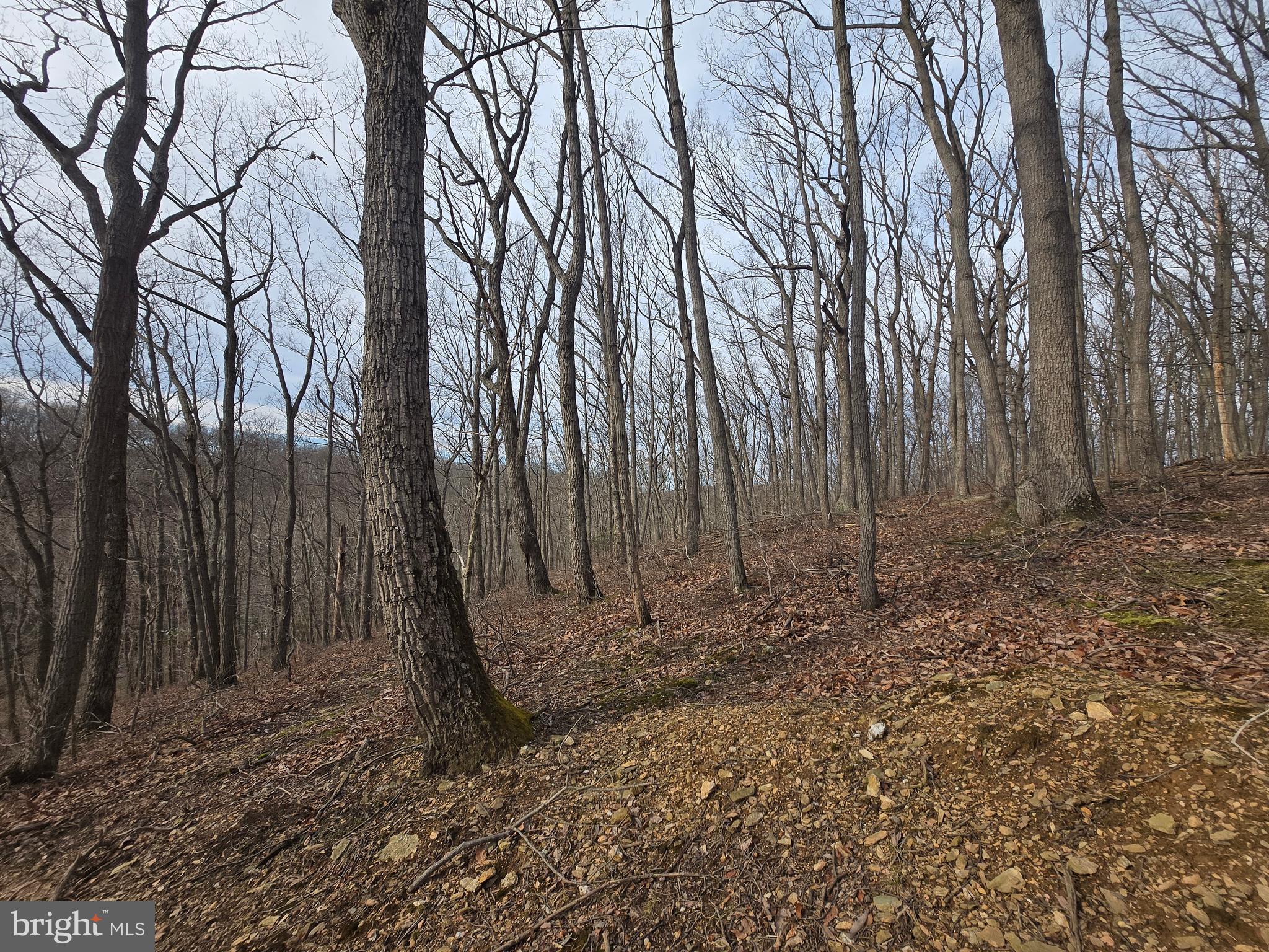 Parcel # 22 Parcel Road New Windsor, MD 21776 - Photo 19 of 26