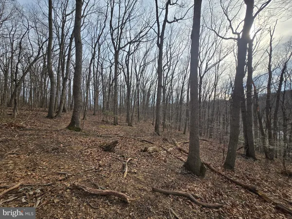 $199,900 | Parcel # 22 Parcel Road, New Windsor, MD 21776