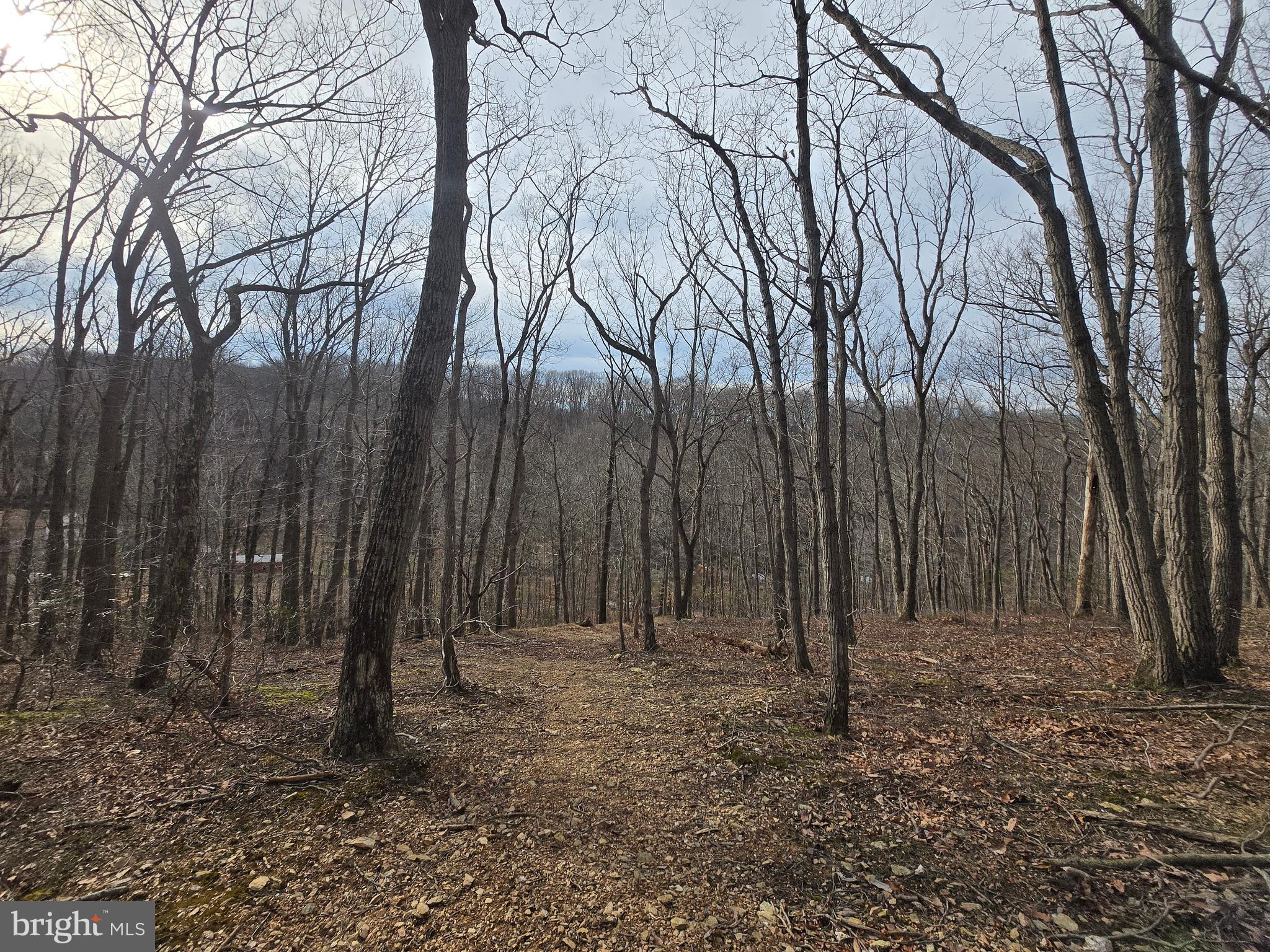 Parcel # 22 Parcel Road New Windsor, MD 21776 - Photo 22 of 26