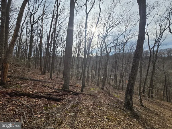 $199,900 | Parcel # 22 Parcel Road, New Windsor, MD 21776