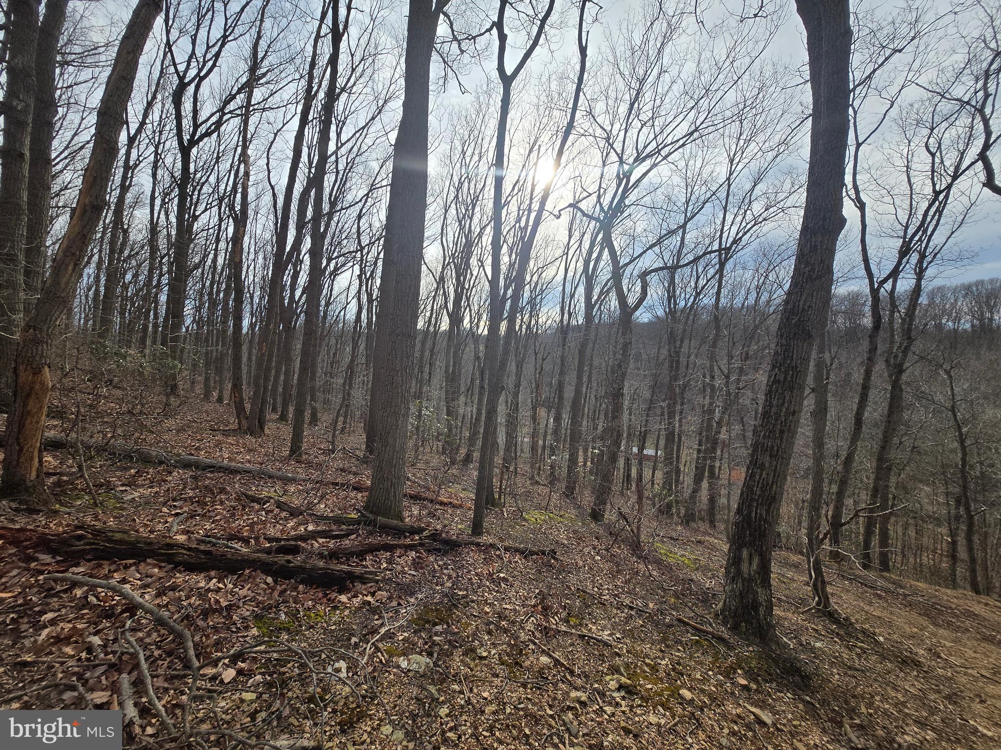 Parcel # 22 Parcel Road New Windsor, MD 21776 - Photo 23 of 26