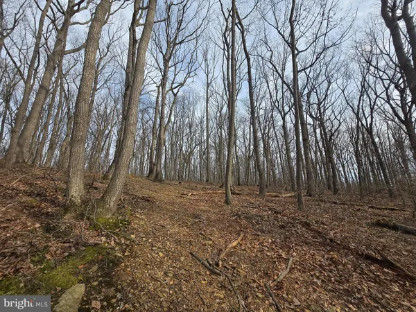 $199,900 | Parcel # 22 Parcel Road, New Windsor, MD 21776