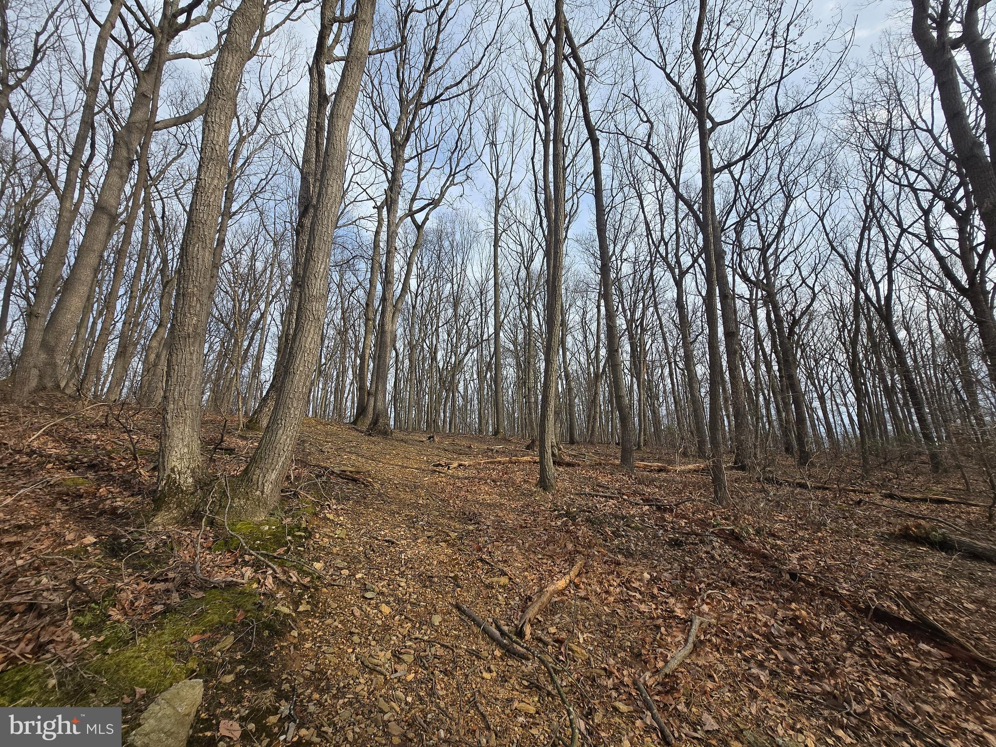 Parcel # 22 Parcel Road New Windsor, MD 21776 - Photo 5 of 26