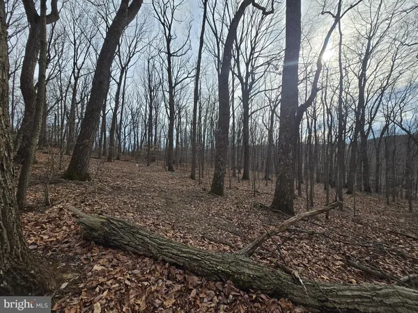 $199,900 | Parcel # 22 Parcel Road, New Windsor, MD 21776