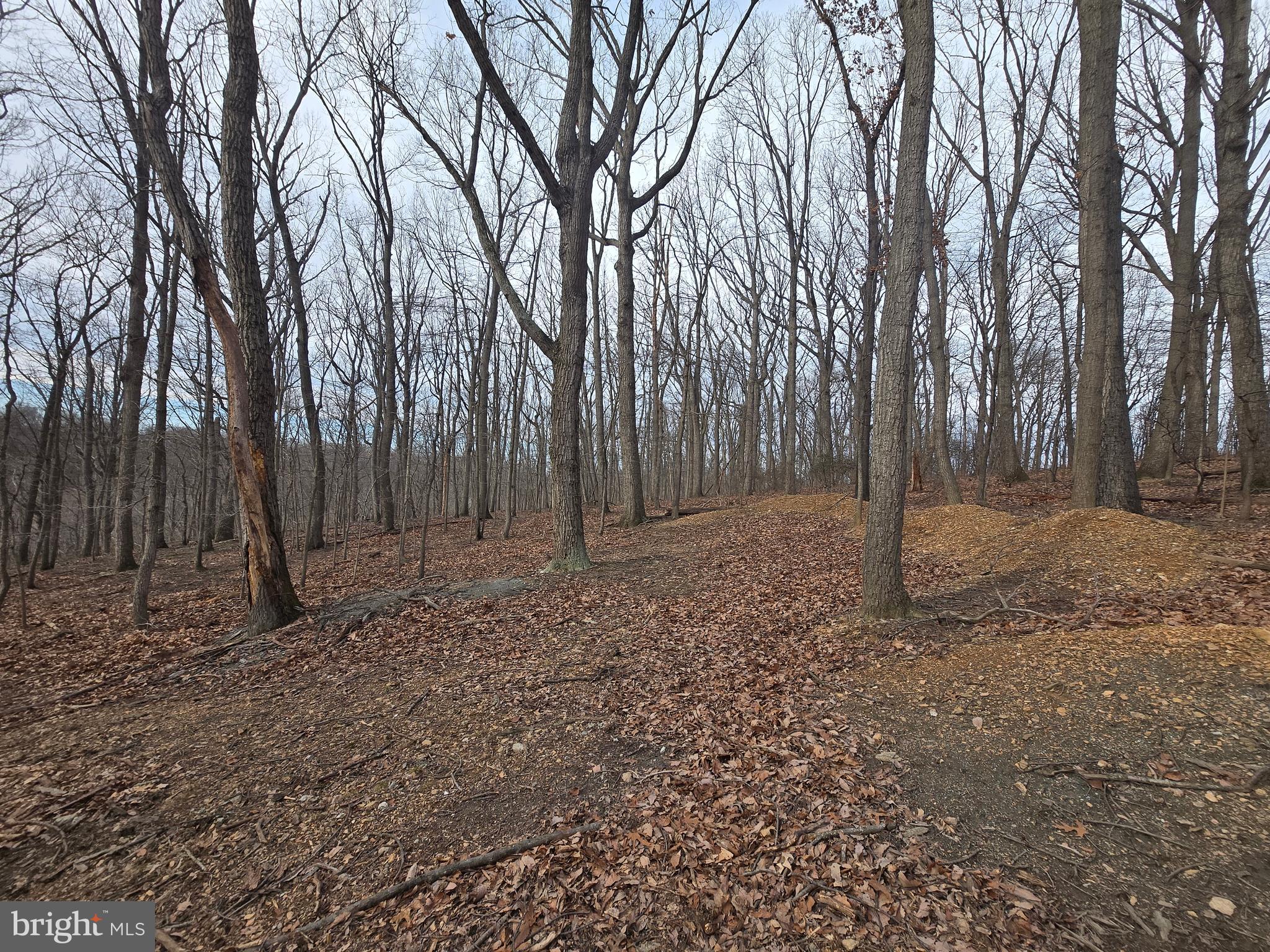 Parcel # 22 Parcel Road New Windsor, MD 21776 - Photo 10 of 26