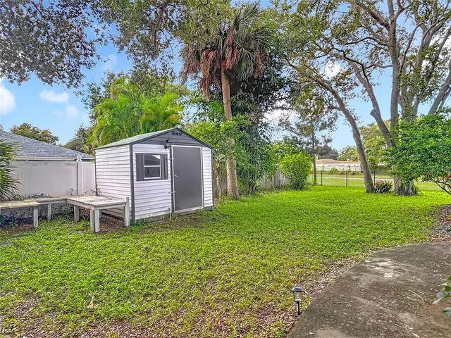 a view of a yard with plants and large trees