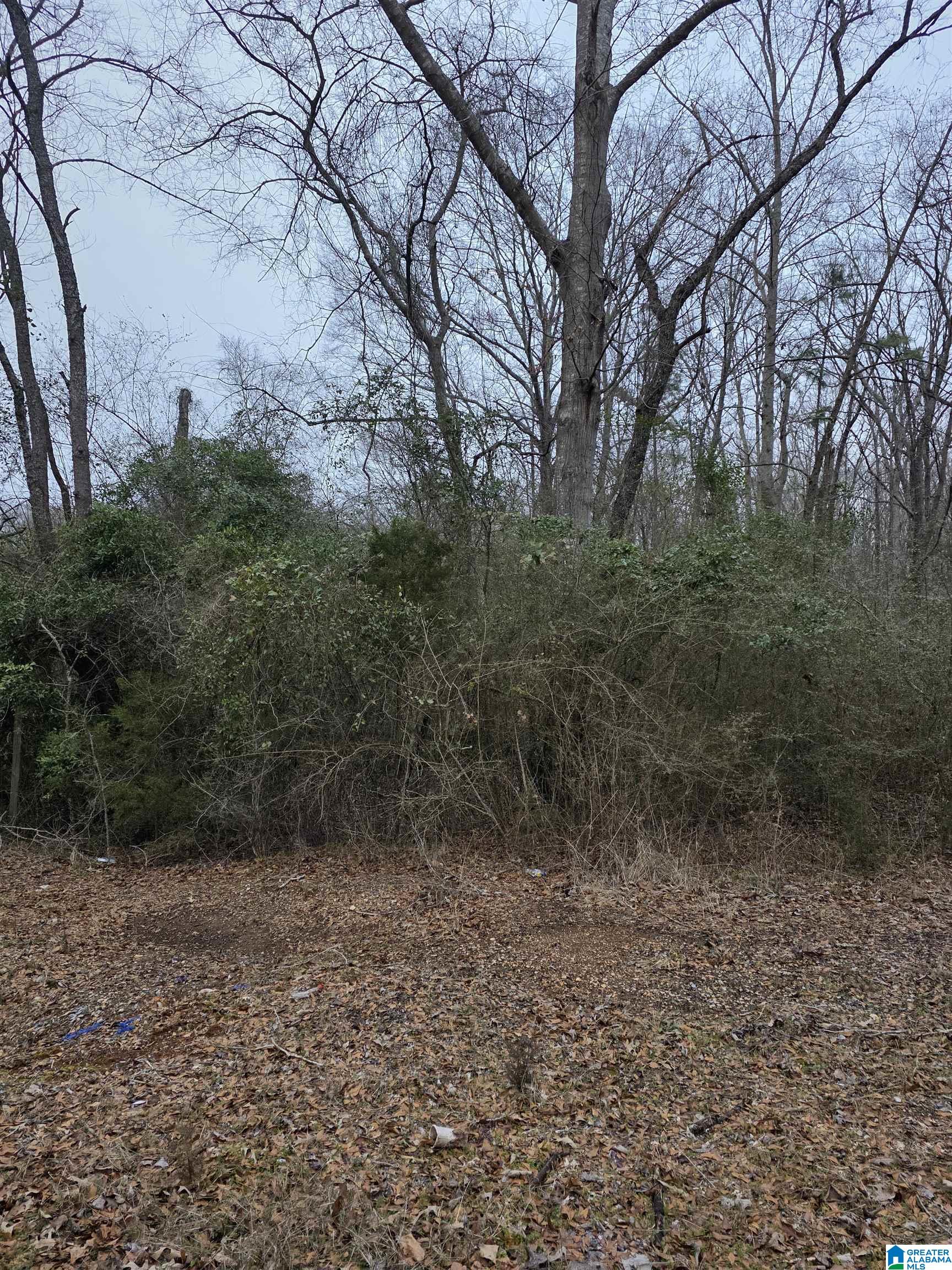 322 Tucker Road Talladega, AL 35160 - Photo 2 of 21