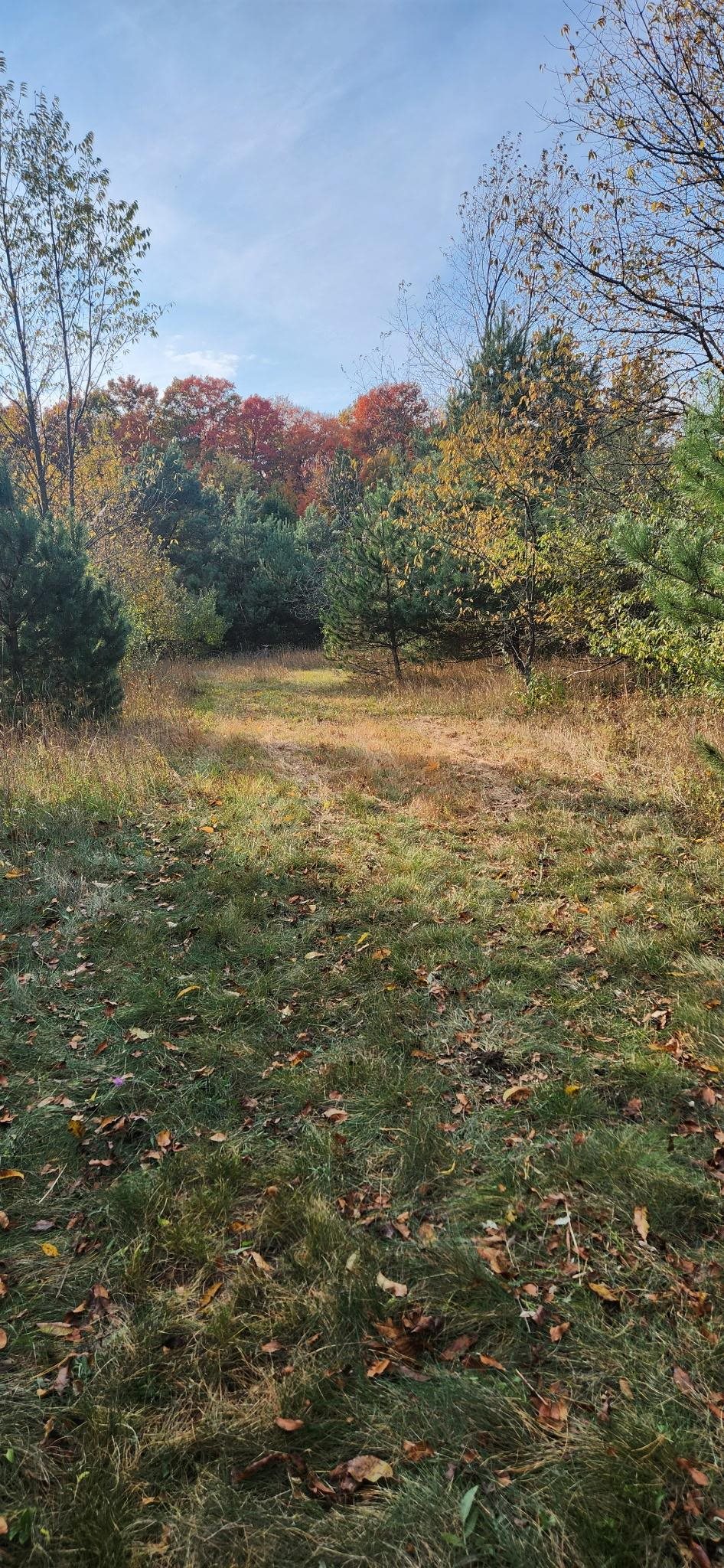 9874 Covey Road Beulah, MI 49617 - Photo 9 of 13