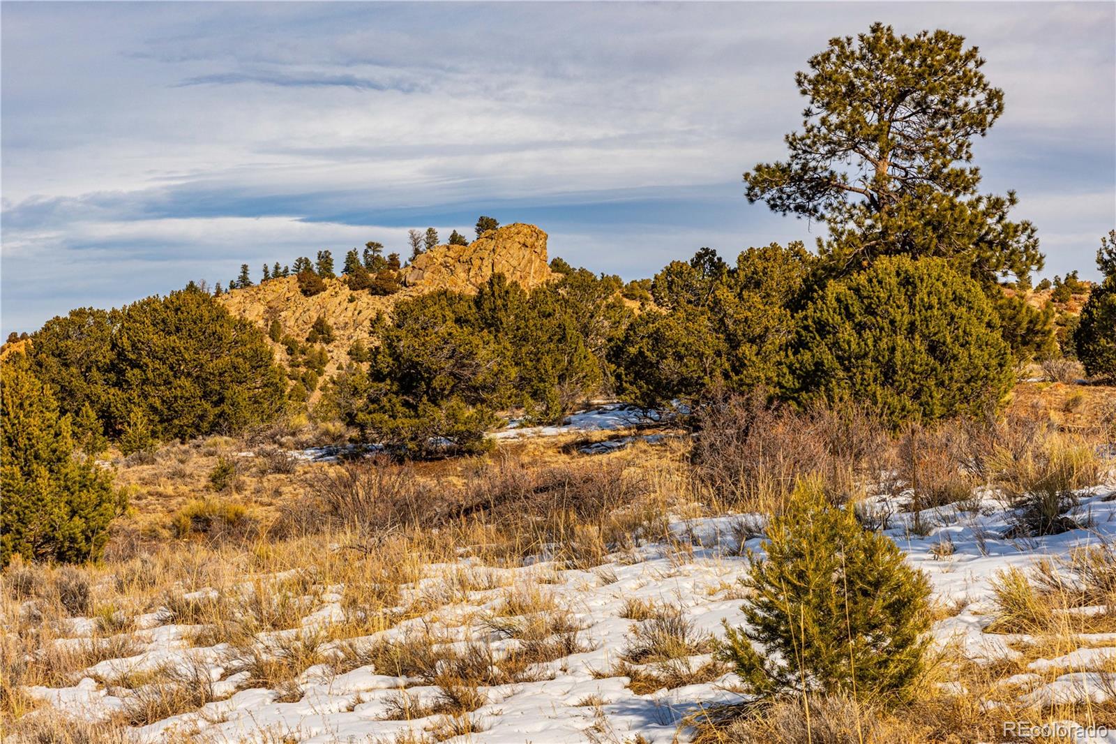 740 Dilley Road Westcliffe, CO 81252 - Photo 15 of 36