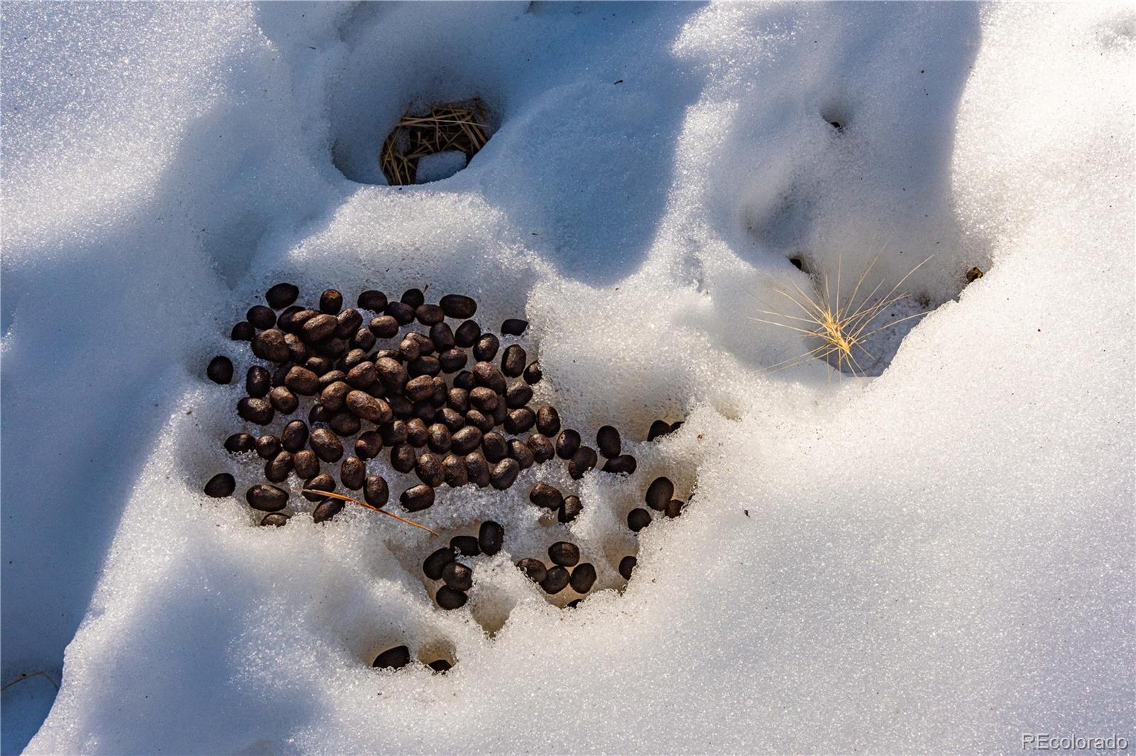 740 Dilley Road Westcliffe, CO 81252 - Photo 19 of 36