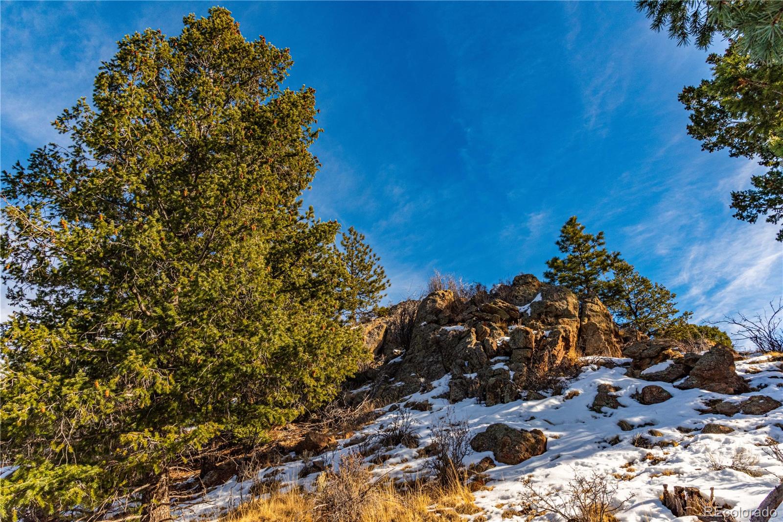 740 Dilley Road Westcliffe, CO 81252 - Photo 20 of 36 a view of a tree
