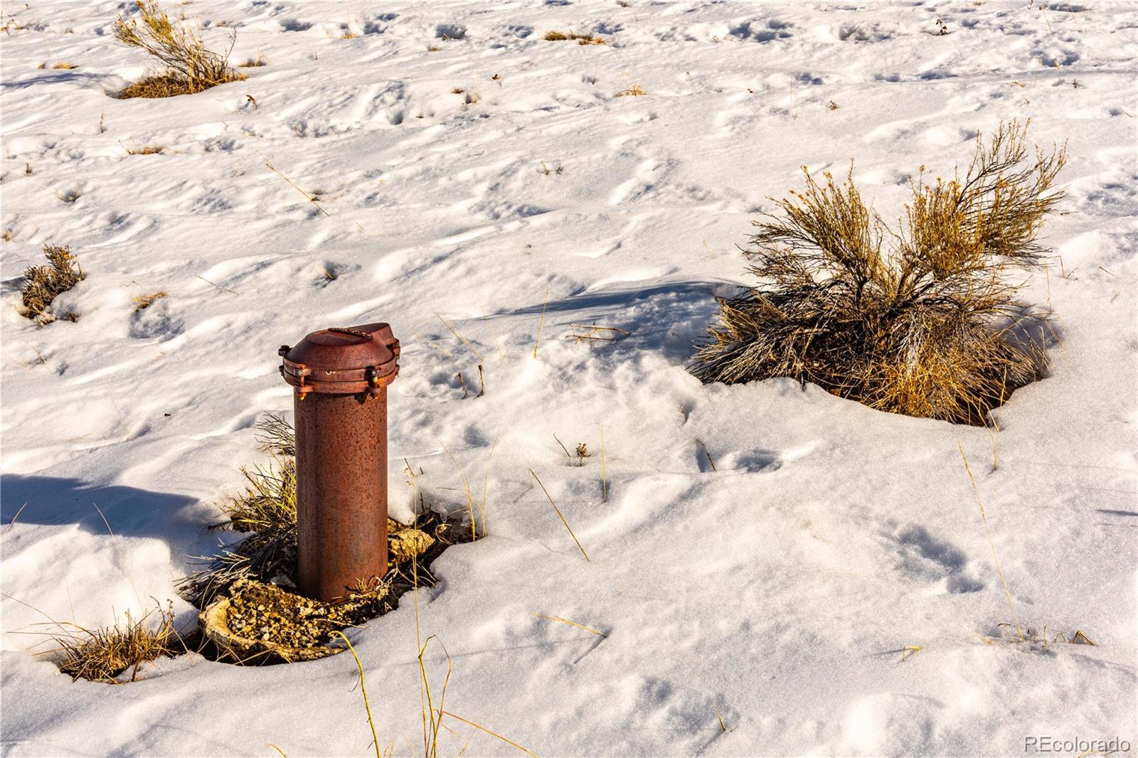 740 Dilley Road Westcliffe, CO 81252 - Photo 28 of 36 a vase with flowers and trees