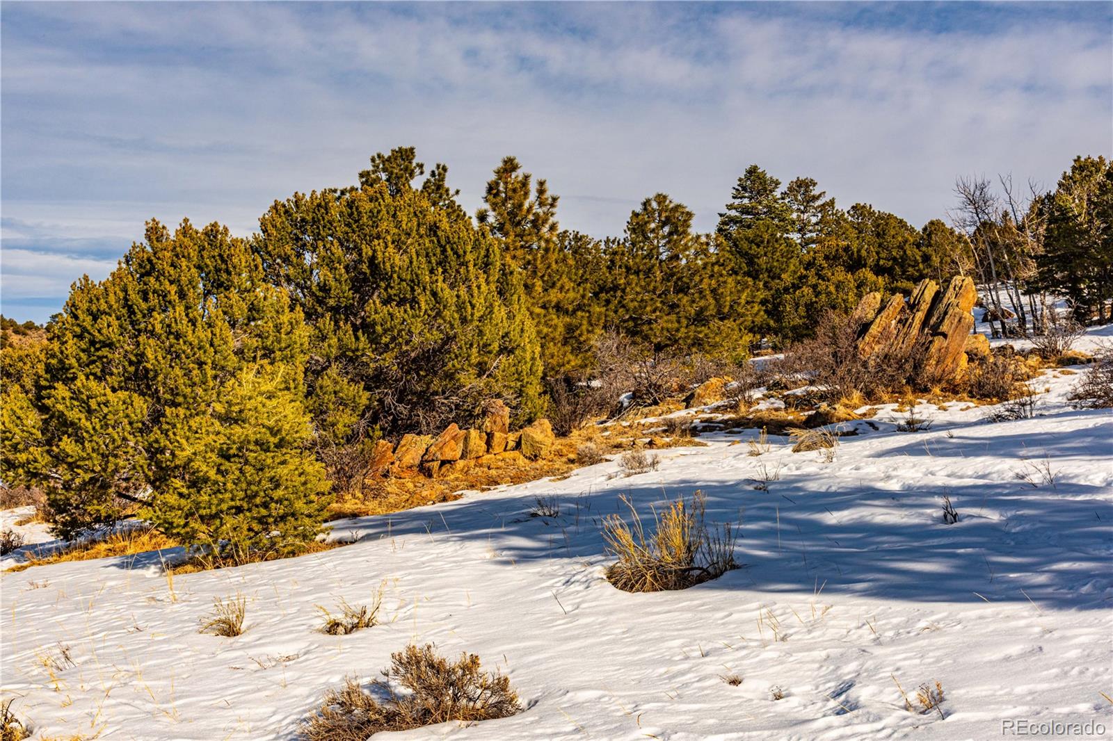 740 Dilley Road Westcliffe, CO 81252 - Photo 29 of 36 a view of a yard with wooden fence
