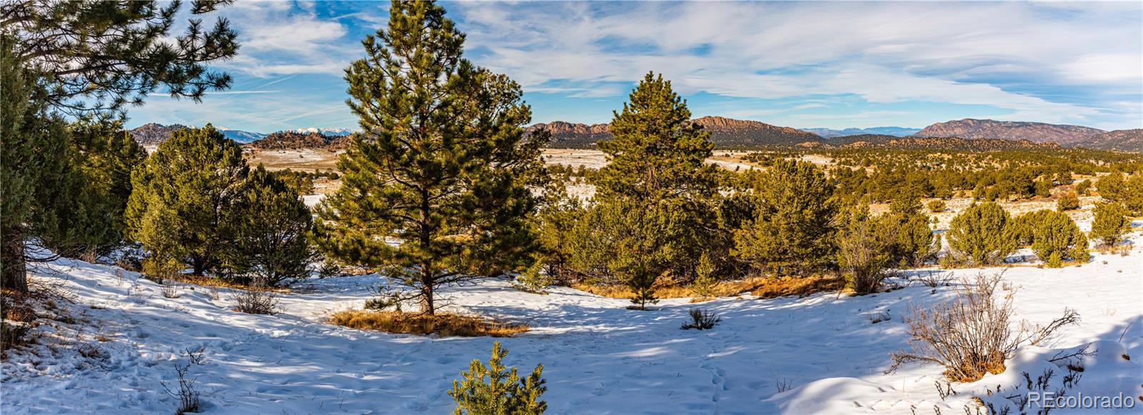 740 Dilley Road Westcliffe, CO 81252 - Photo 31 of 36 a view of a yard