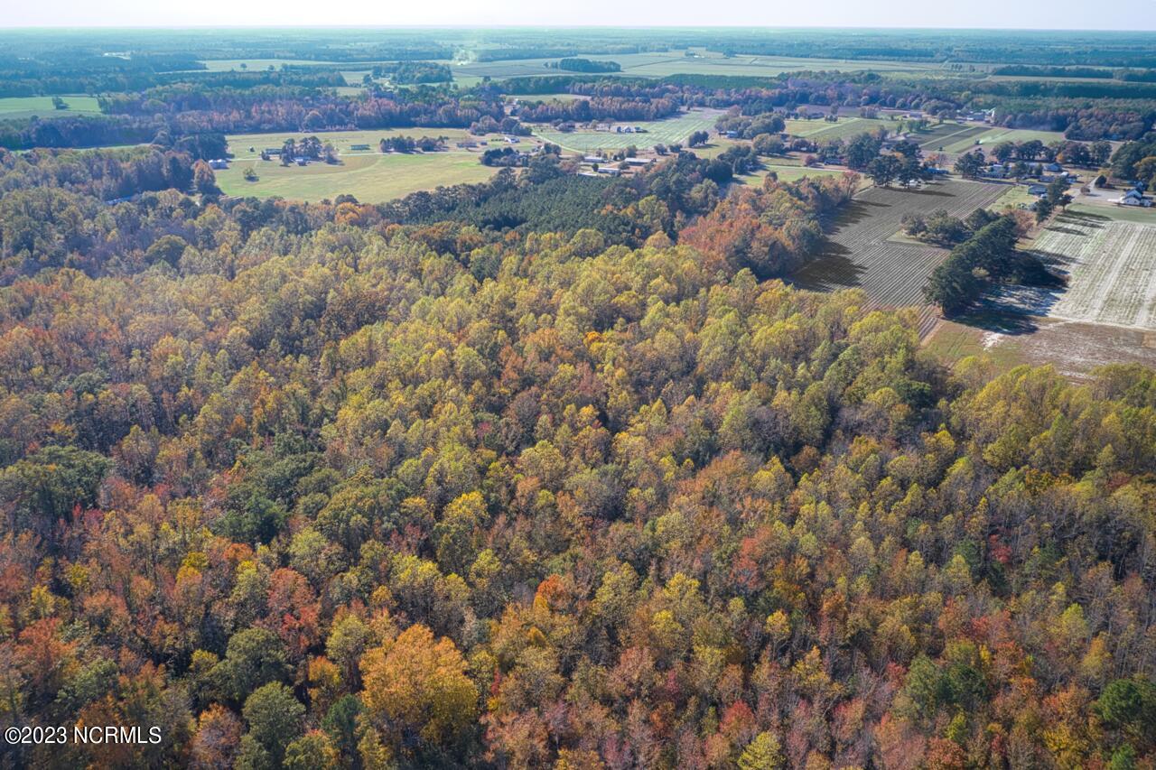 838 County Line Road Tyner, NC 27980 - Photo 59 of 70 DJI_0027 Large