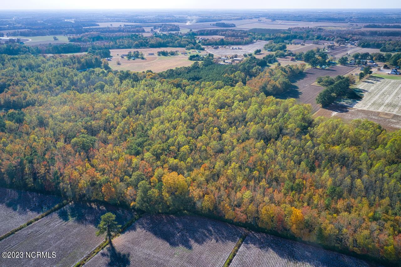 838 County Line Road Tyner, NC 27980 - Photo 60 of 70 DJI_0028 Large